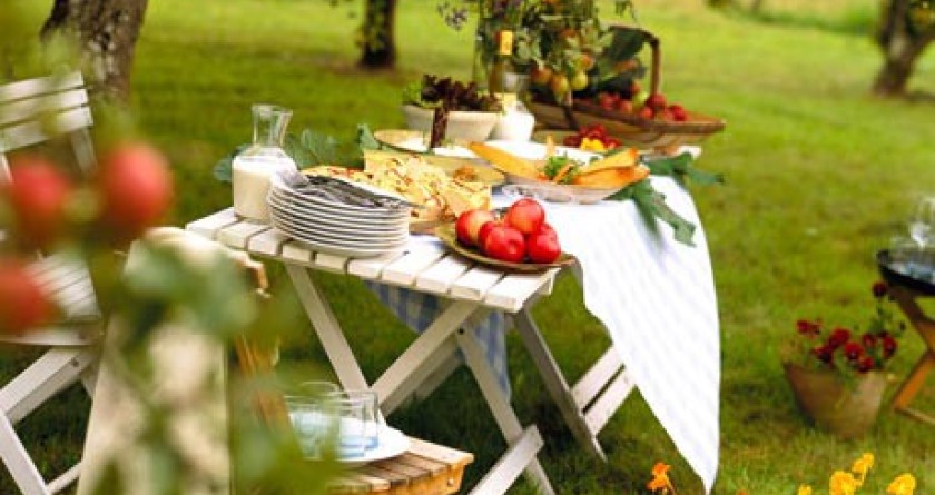 Пикники и вечеринки