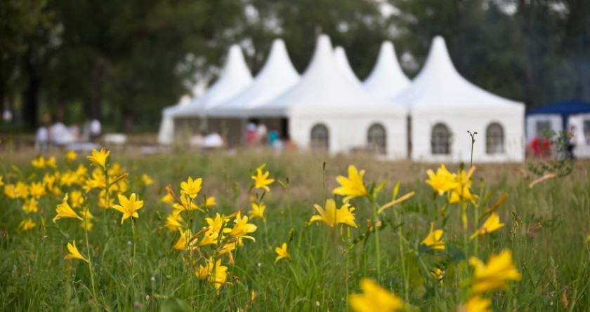 Пикники и вечеринки