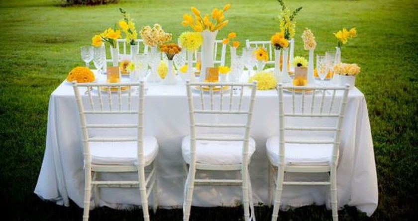 Пикники и вечеринки