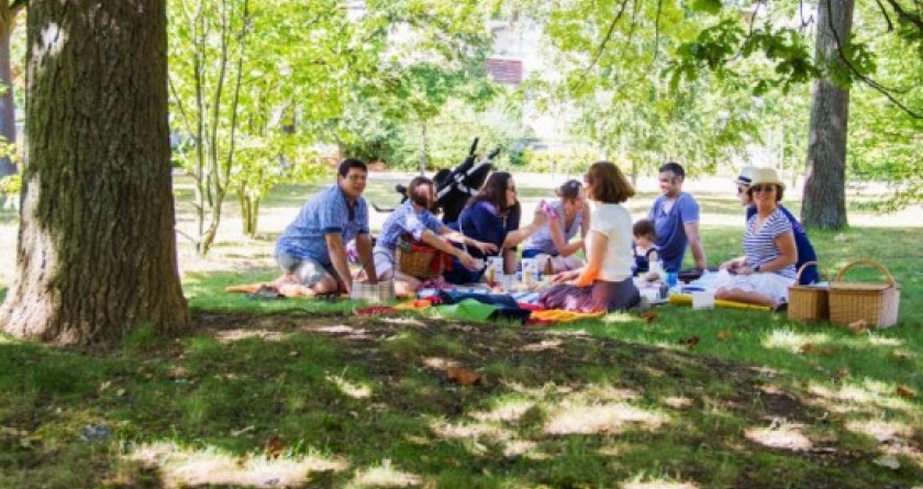 Пикники и вечеринки