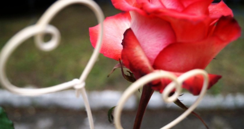 Свадебные банкеты